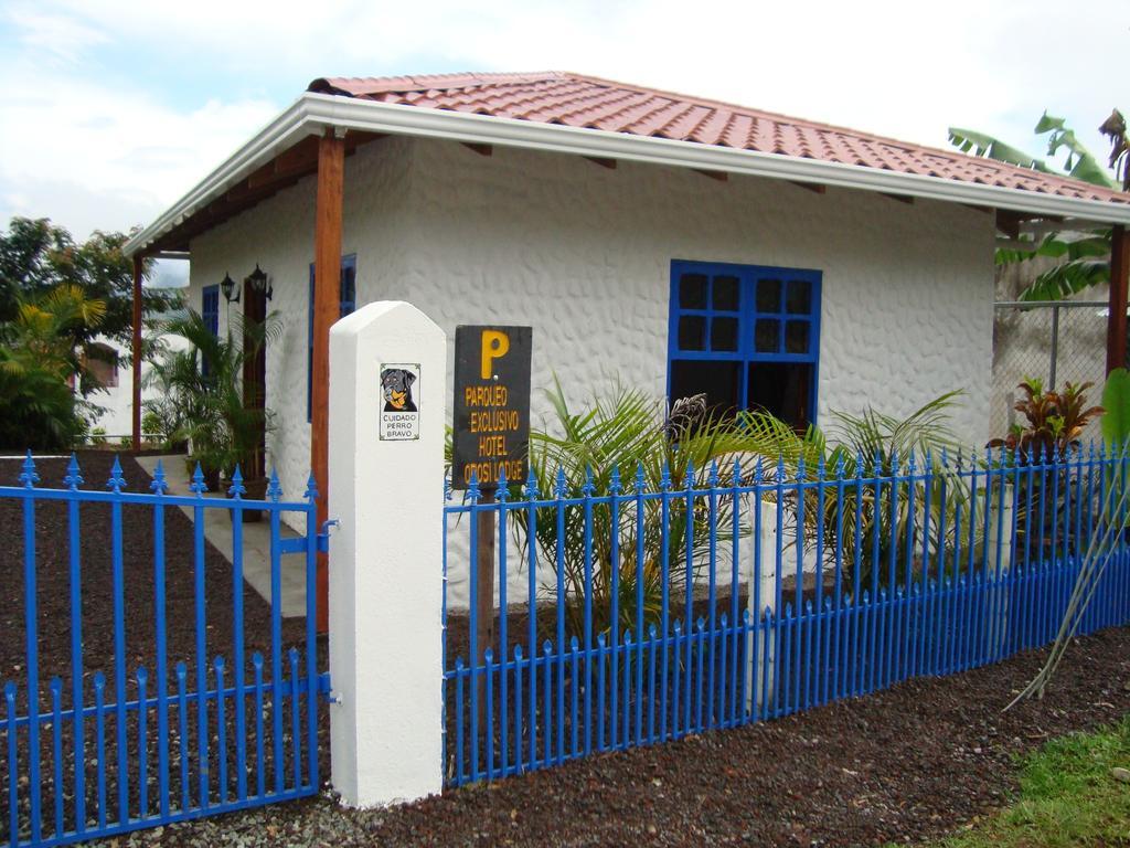Orosi Lodge Bagian luar foto
